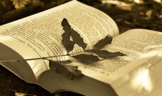 九月再见十月你好句子 十月微信说说