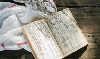 班婕妤被弃典故 关于班婕妤被弃典故