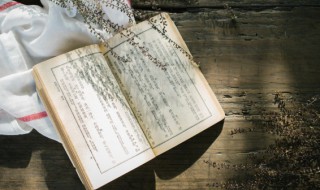 荷叶的诗词 描写荷叶的诗句