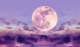 古朗月行诗中的又疑摇台镜飞在青云端的意思 又疑摇台镜飞在青云端的解释