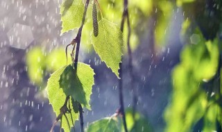 中国南方梅雨季节指的是哪几个月 中国南方梅雨季节指的是每年的六七月份