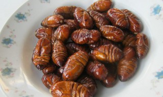 怎么炒蚕蛹好吃 如何炒蚕蛹好吃