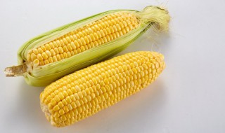 白玉米为什么变黄 白玉米变黄原因