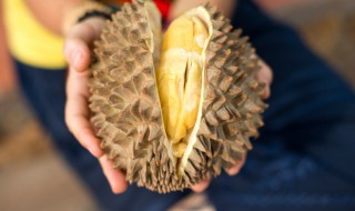 榴莲储存方法和配方 怎样储存榴莲