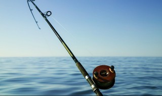 鳐鱼的保存方法大家了解多少 鳐鱼的保存方法大家知道多少