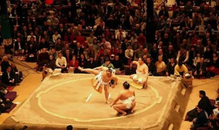 日本相扑横纲是什么意思 日本相扑横纲的含义