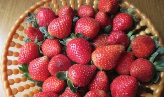 草莓上面有白色的东西是什么 草莓上面有白色的东西介绍