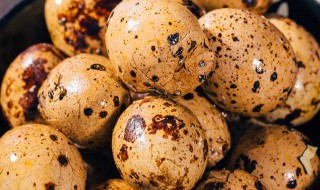 鹌鹑蛋如何保存 鹌鹑蛋怎样保存