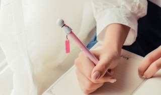 平生不敢轻言语的下一句是什么 平生不敢轻言语的翻译