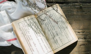 寅的拼音 寅的拼音是什么