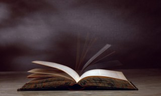 矢口否认的矢口是什么意思 矢口否认的矢口的含义