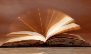 顿悟是什么意思 顿悟解释