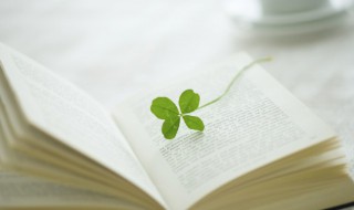 好好生活慢慢相遇的暗示意思 好好生活慢慢相遇的解释