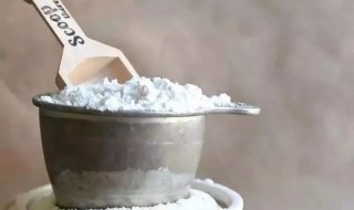 食用碱和小苏打有什么区别 食用碱和小苏打区别是什么