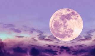 何似在人间何似的意思 何似在人间何似是什么意思