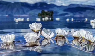 银光闪闪的意思 银光闪闪释义