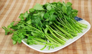 芫荽和香菜有什么区别 香菜和芫荽的区别