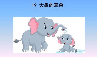 大象的耳朵有什么作用? 大象的耳朵作用是什么