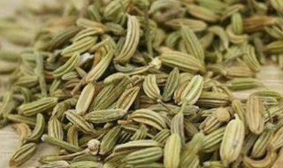 做什么菜适合放小茴香 小茴香做什么菜比较合适