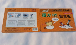 粘老鼠的胶用什么可以洗掉 粘老鼠的胶洗掉方法