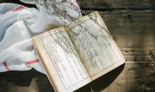 谁人得似牧童心这句是什么句子 谁人得似牧童心的出处