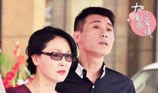 小爱情电视剧大结局 电视剧小爱情讲的是什么