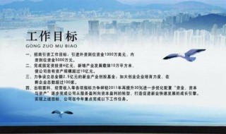 工作目标怎么写 工作目标编写方法