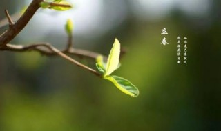 立春的气温一般是多少 地区不同温度不同
