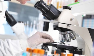 医学检验技术需要学哪些科目 医学检验技术专业学什么