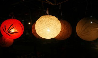 小姑娘夜纳凉带灯笼闪闪亮 打一动物名 原来是它