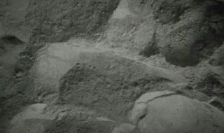 柴灰放在卧室里行吗的用处 柴灰7大妙用你需要知道