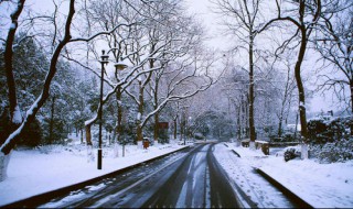 abs下雪路滑怎么刹车不能猛踩 原来是这样