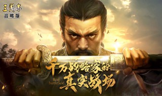 三国志战略版庞德搭配什么武将 快来看看