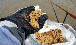 冬季谷麦打窝如何 冬季谷麦怎么打窝