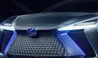 汽车的牌照框需要装吗? 汽车牌照的安装