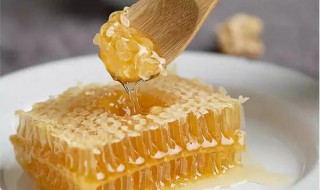 蜂胶怎么吃 蜂胶有哪些食用方法