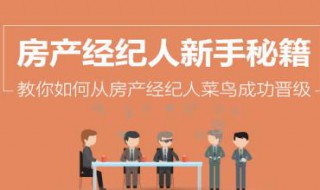 房地产如何带新人 你都了解了吗