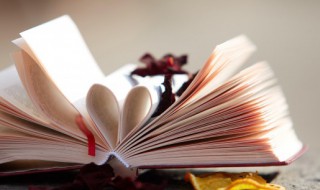 新世界人物结局 新世界人物结局是什么？