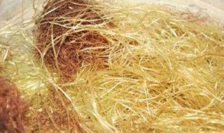 玉米须水哪些人不能吃 注意这4类人不宜