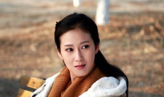 赵斯文紫月是什么电视剧 赵斯文紫月的电视剧介绍