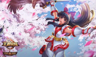 王者荣耀娜可露露不打野怎么玩 详细攻略