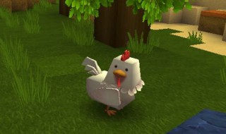 迷你世界什么东西能吸引鸡 吸引鸡的方法