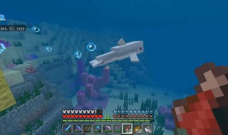 我的世界怎么用指令去掉大海里的水 看完你就明白了