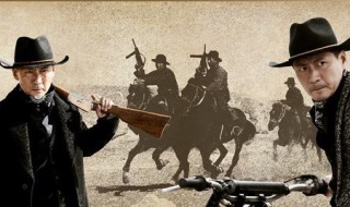 林雪燕双鹰是哪个电视剧 你知道吗