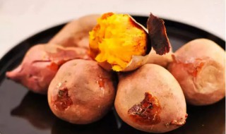 木薯是红薯吗 木薯与红薯的区别