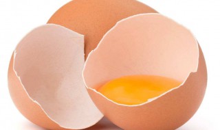 鸡蛋黃和奶粉混合吃行吗 下面告诉你答案