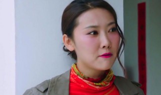 传志是什么电视剧 该剧讲述了什么内容