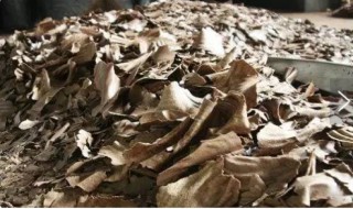 花生麸怎么用来钓鱼 花生麸能用来钓鱼吗