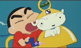 蜡笔小新电王vs新王在第几集 关于小新的简介信息