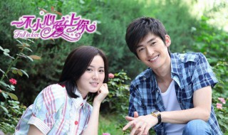 爱上你电视剧结局 结局剧情介绍